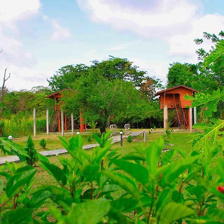 Sigiri Royal Point Tree House Hotell Sigiriya Eksteriør bilde