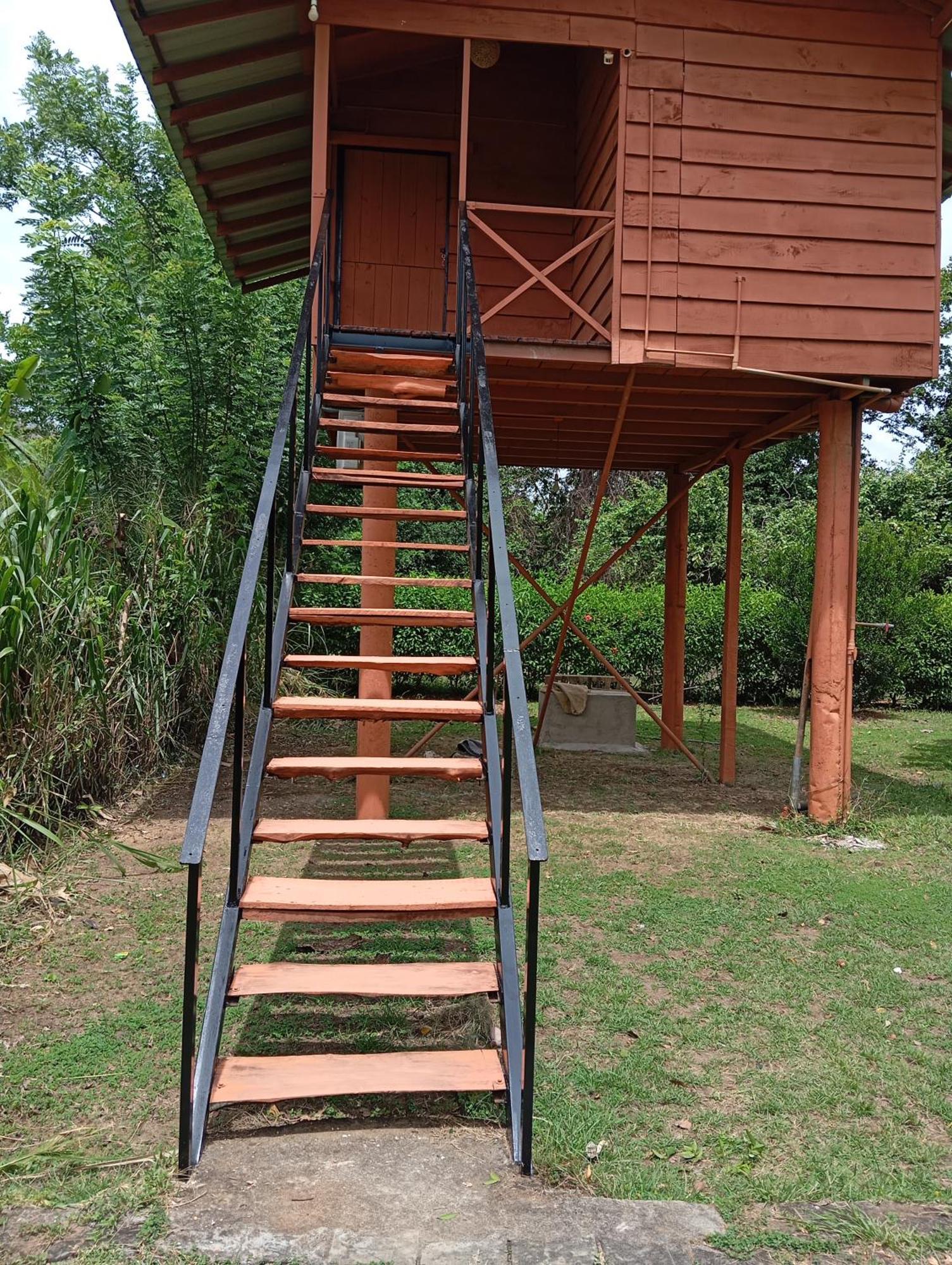 Sigiri Royal Point Tree House Hotell Sigiriya Eksteriør bilde