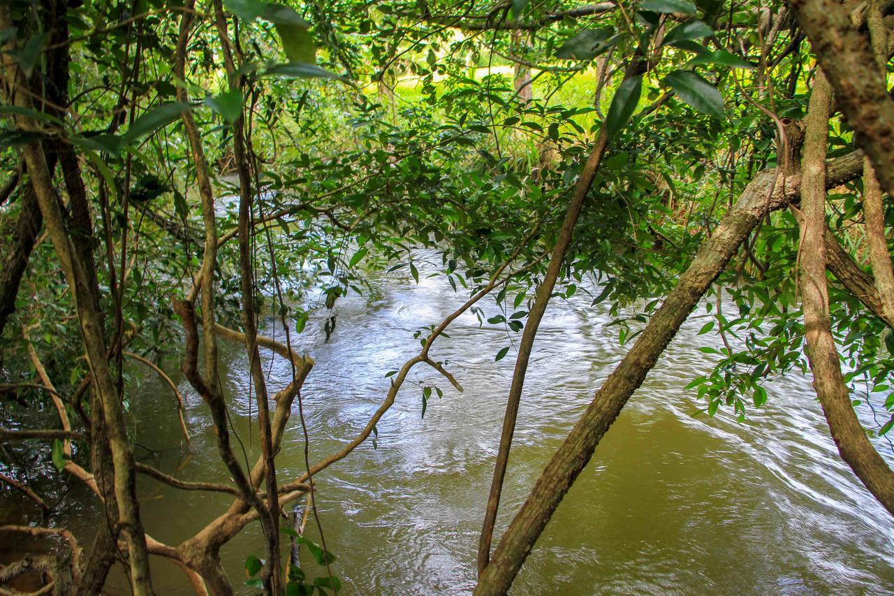 Sigiri Royal Point Tree House Hotell Sigiriya Eksteriør bilde
