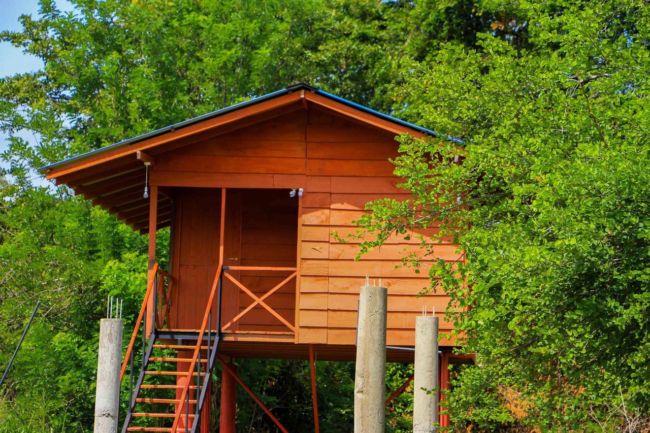Sigiri Royal Point Tree House Hotell Sigiriya Eksteriør bilde