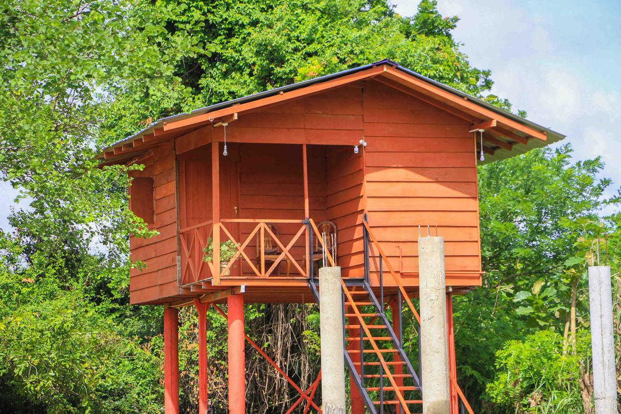 Sigiri Royal Point Tree House Hotell Sigiriya Eksteriør bilde