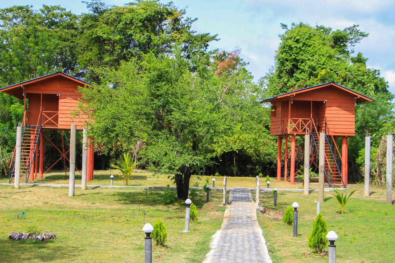 Sigiri Royal Point Tree House Hotell Sigiriya Eksteriør bilde