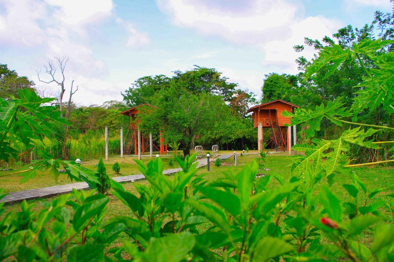 Sigiri Royal Point Tree House Hotell Sigiriya Eksteriør bilde