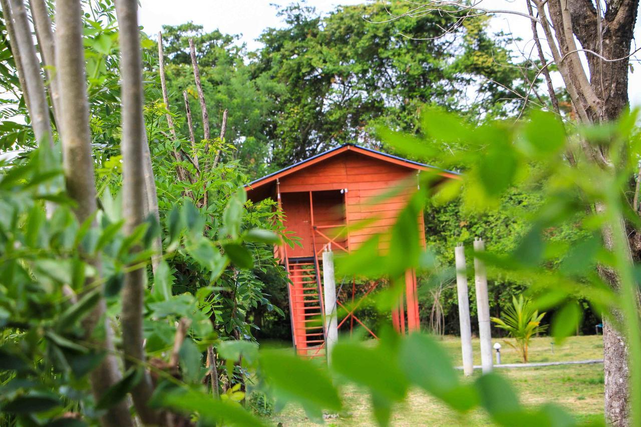 Sigiri Royal Point Tree House Hotell Sigiriya Eksteriør bilde