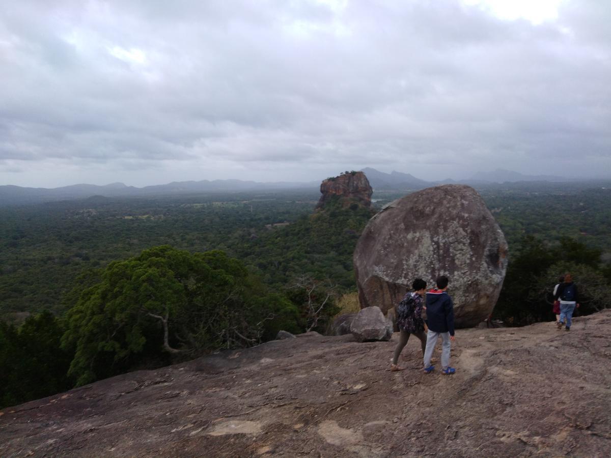 Sigiri Royal Point Tree House Hotell Sigiriya Eksteriør bilde