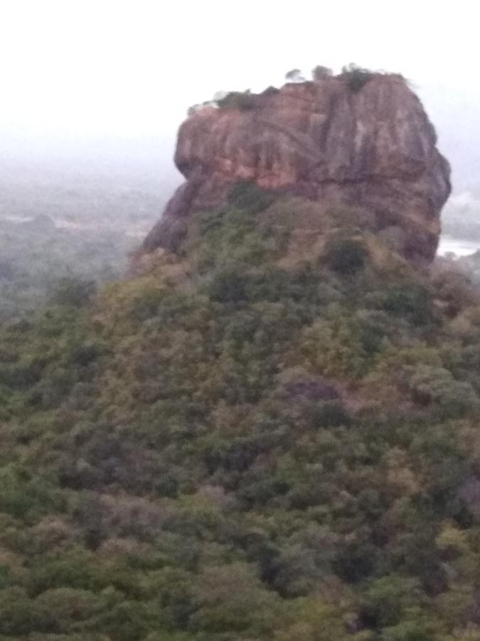 Sigiri Royal Point Tree House Hotell Sigiriya Eksteriør bilde