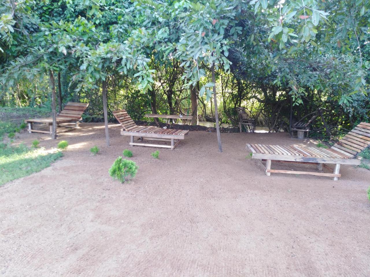 Sigiri Royal Point Tree House Hotell Sigiriya Eksteriør bilde