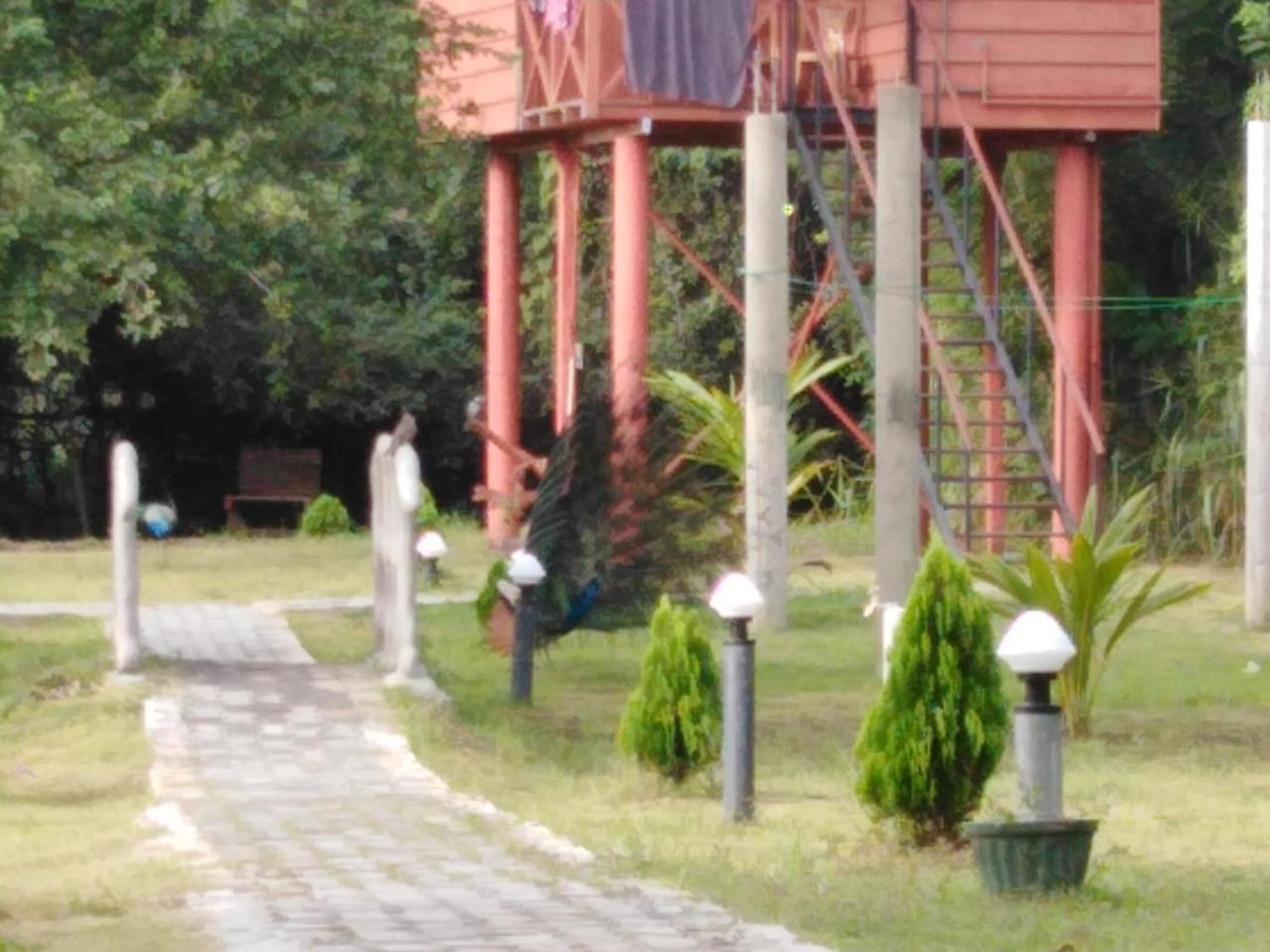 Sigiri Royal Point Tree House Hotell Sigiriya Eksteriør bilde