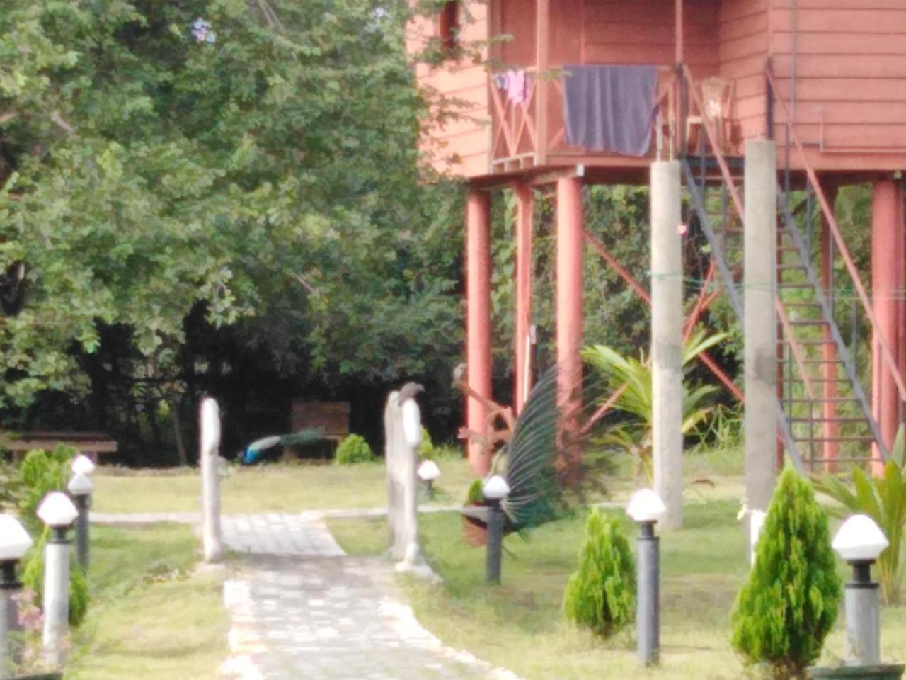Sigiri Royal Point Tree House Hotell Sigiriya Eksteriør bilde